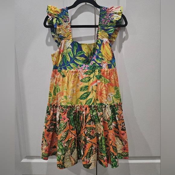 FARM Rio Dresses & Skirts - Farm Rio Caipirinha Mini Dress, Small